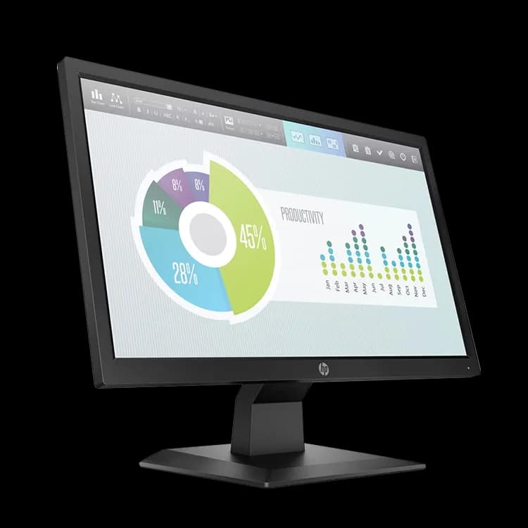 HP P204v 49.53 cm(19.5) Monitor